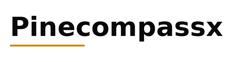 Pinecompassx logo